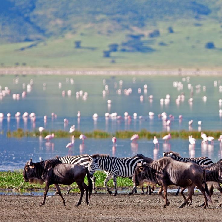Elephants & Rift Valley Wonders