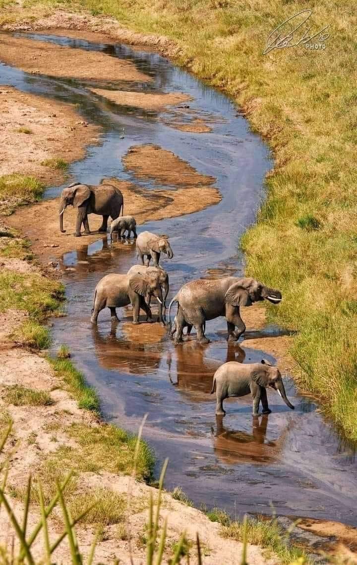 The Tanzania Classic safari photo