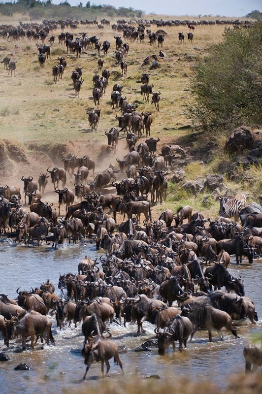 Savannah to Crater Journey safari photo