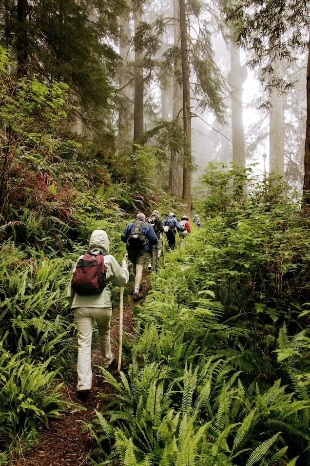 6-Day Kilimanjaro Marangu Route