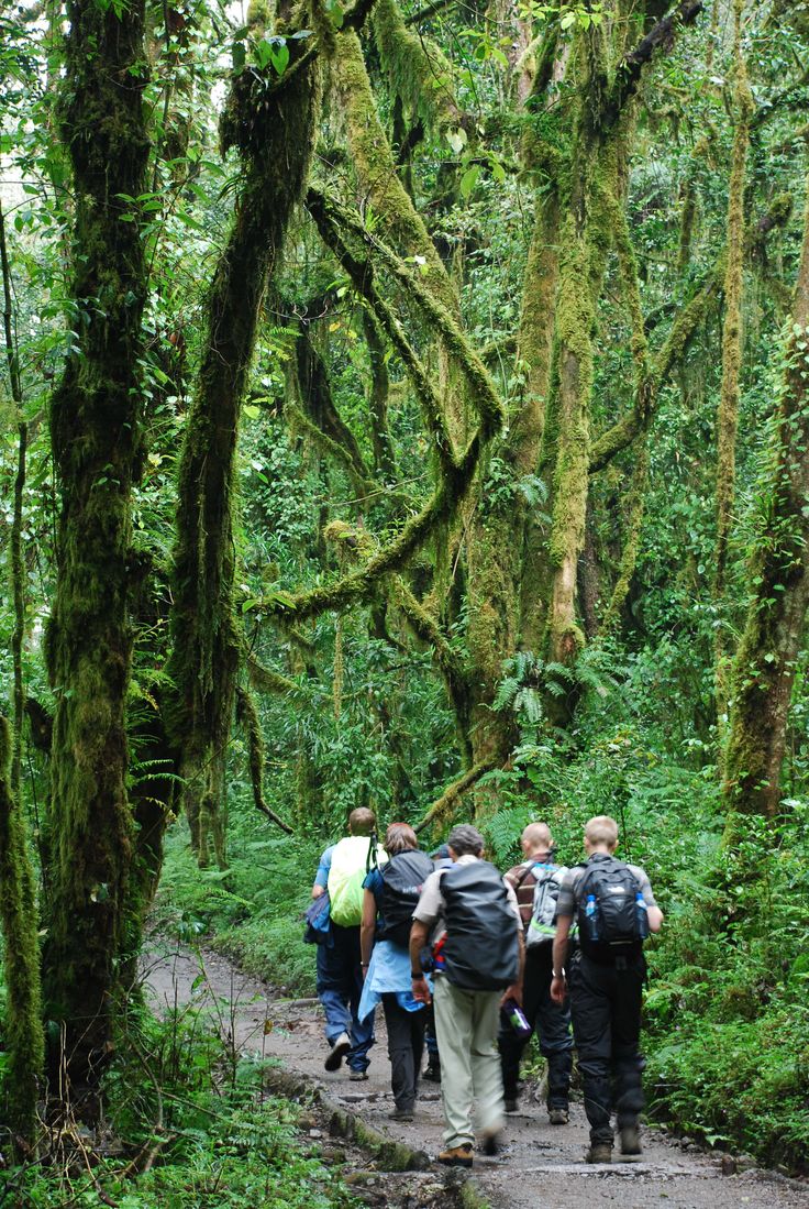 6-Day Kilimanjaro Marangu Route